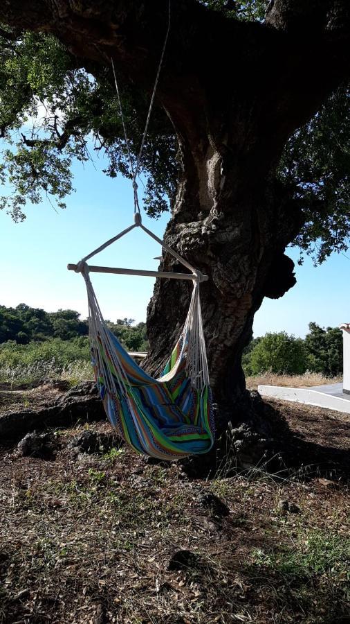 Herdade De Vale Maceiras Santiago do Cacém Eksteriør billede